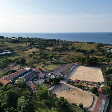 Mavi At Hotel Blue Horse Gumusdere Екстериор снимка