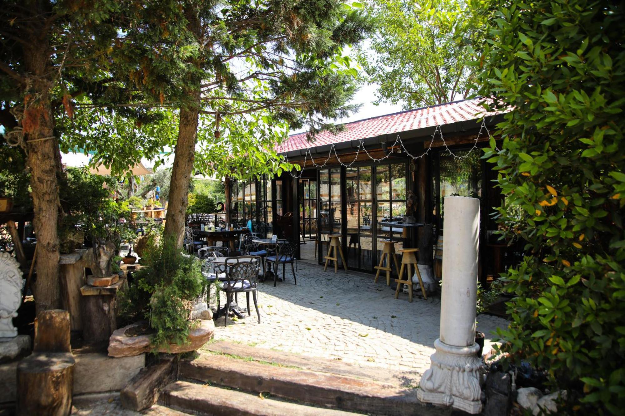 Mavi At Hotel Blue Horse Gumusdere Екстериор снимка
