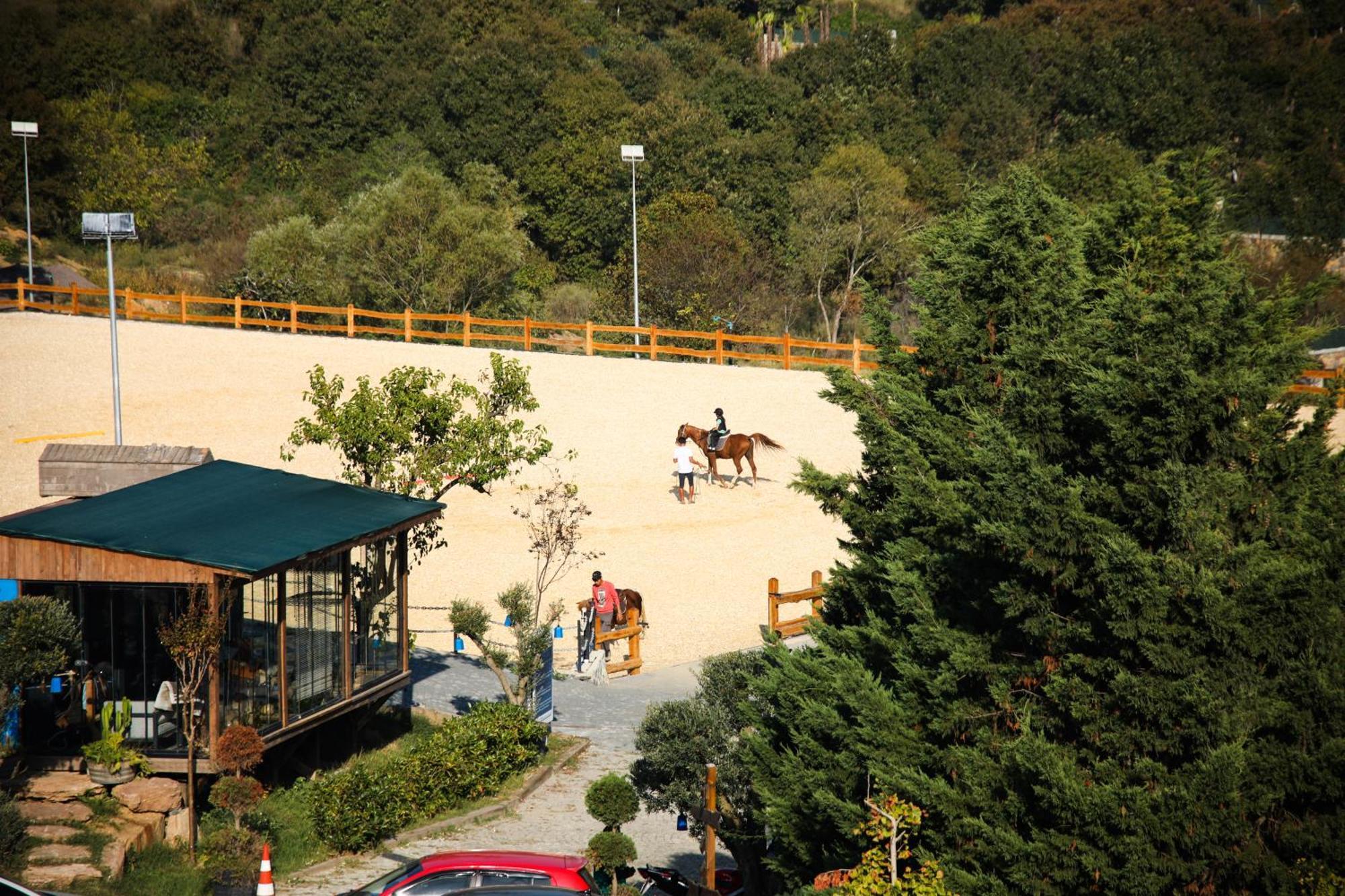 Mavi At Hotel Blue Horse Gumusdere Екстериор снимка