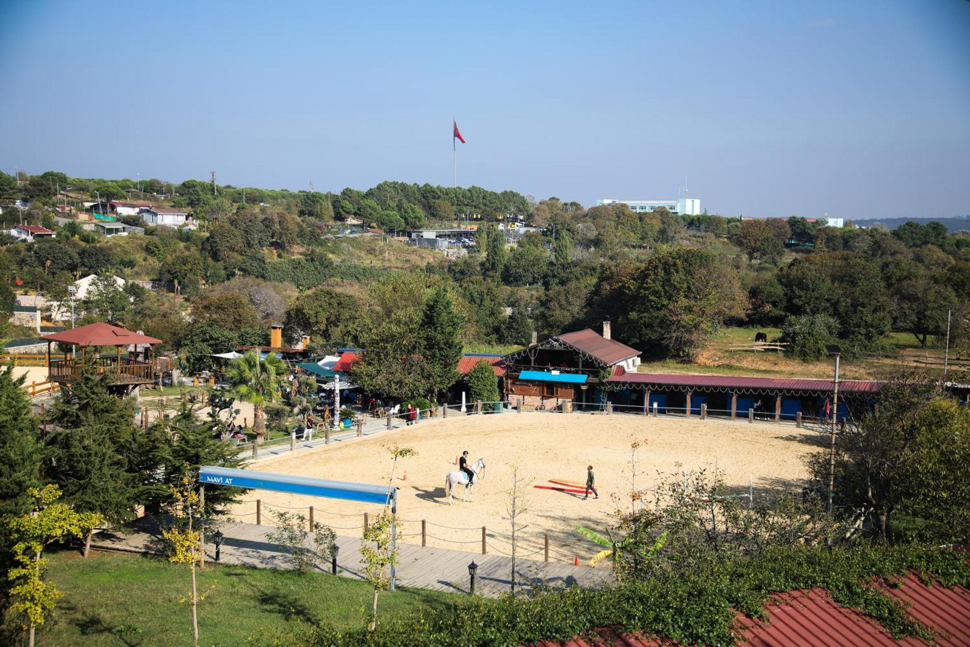 Mavi At Hotel Blue Horse Gumusdere Екстериор снимка