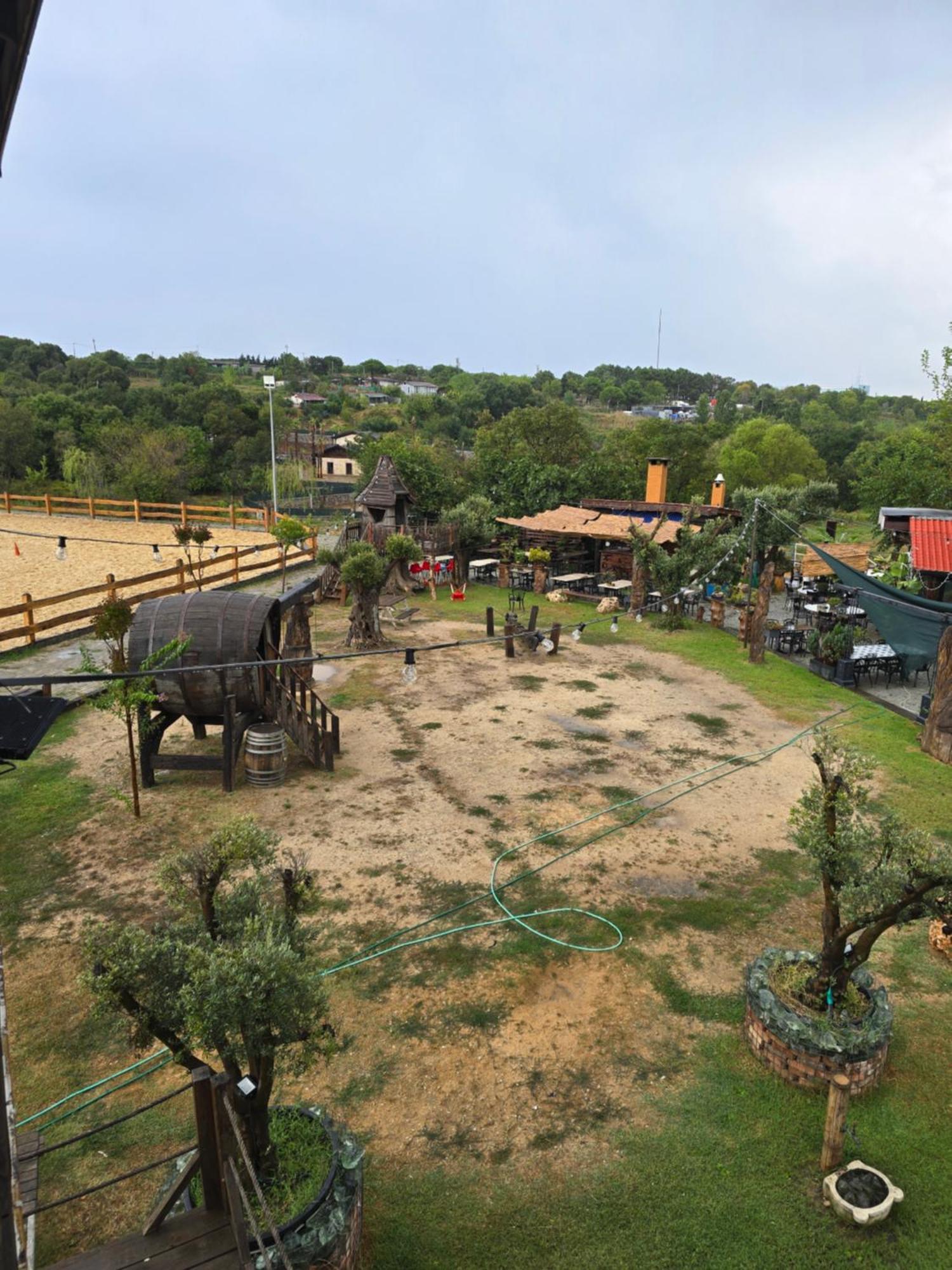 Mavi At Hotel Blue Horse Gumusdere Екстериор снимка